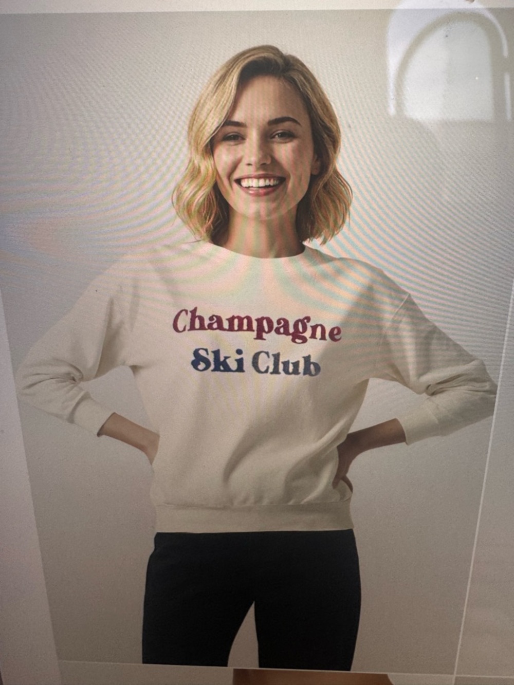 Wildfox Champagne Ski Eggnog Graphic Charlie Sweatshirt